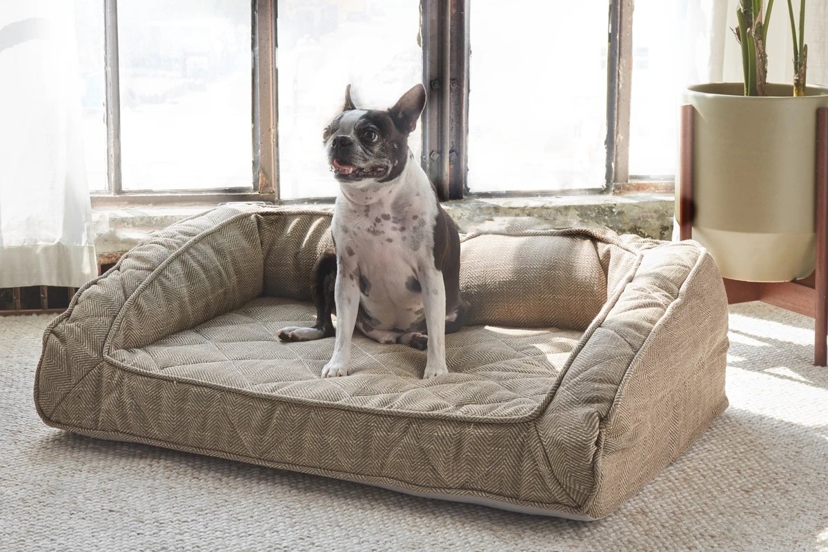 Brenwood Home pet beds provide a comfy spot