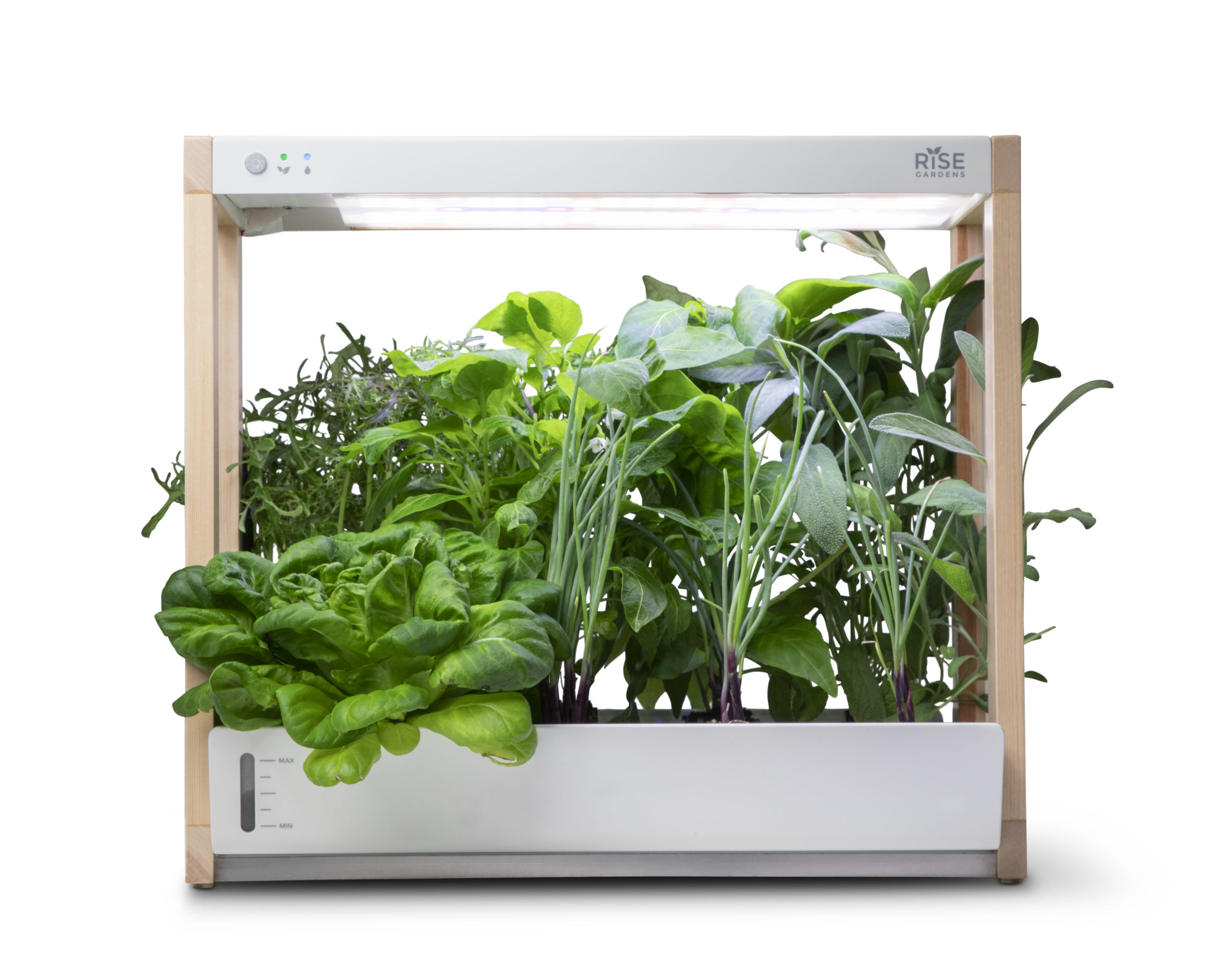 Gift fresh greens and herbs all year with Rise Gardens