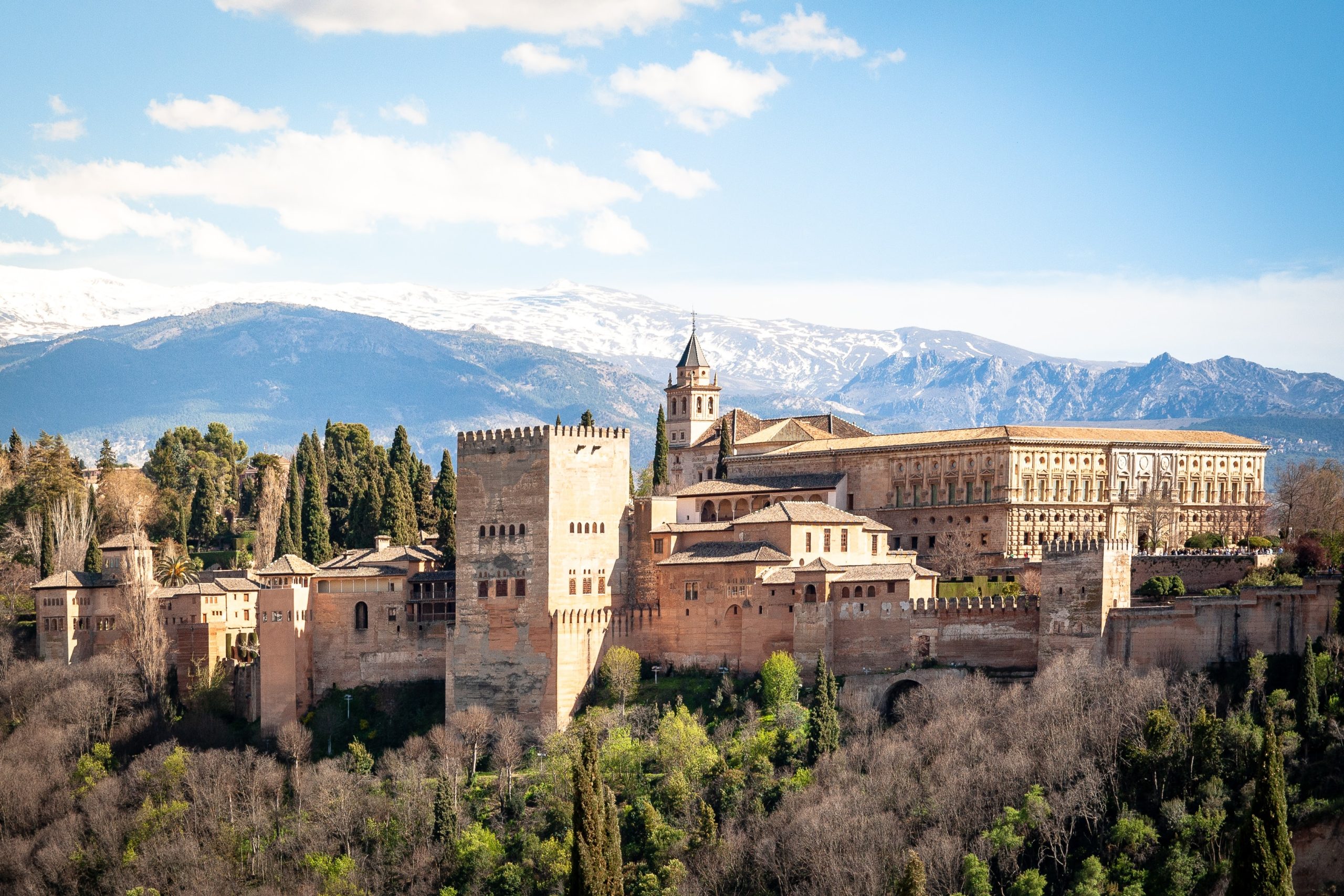 View of the Alhambra Palace in Granada Spain by Dimitry B