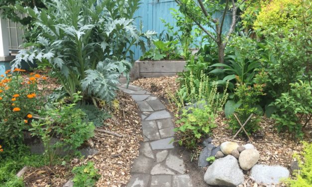 A Food Forest Brings Nature and Bounty to Your Backyard