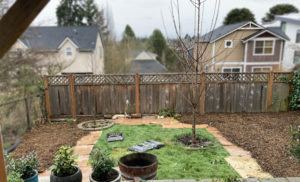 Mulching process for food forest in back yard - photo