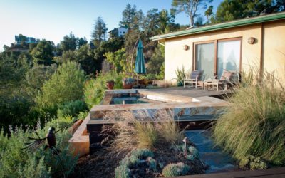 Can Fire Resistant Landscaping Save Your Home from Wildfire?