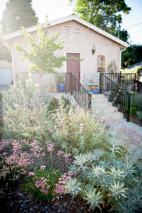 Drought-resistant landsaping in fron of shouse with dark-red door and black railing