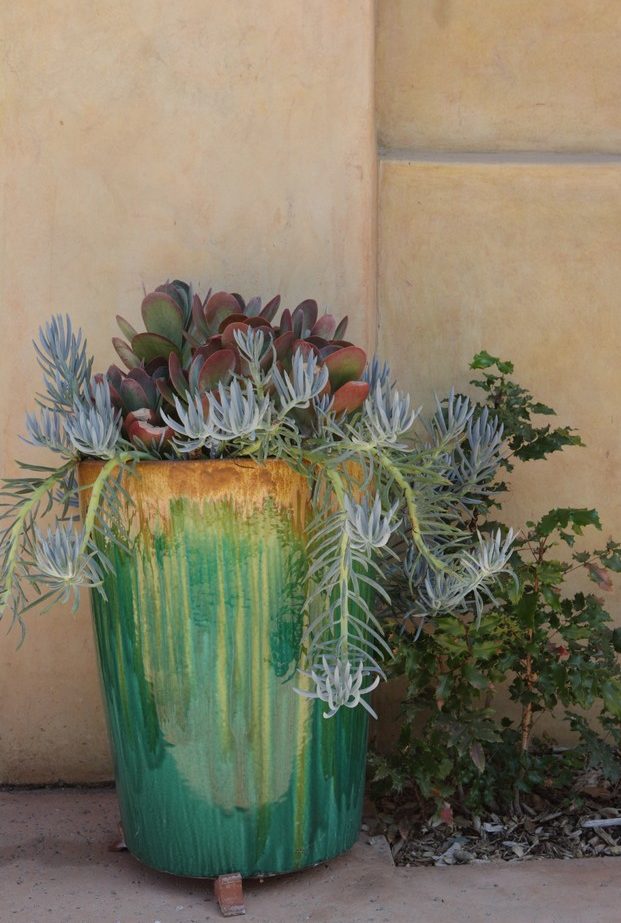 Green and brown tall ceramic pot with succulents