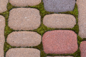 Moss and green weeds grow between uniquecolored pavers with rounded edges