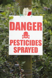White sign with red letters and skull and crossbones: "danger Prestices Sprayed"; blueberry bushes with rip fruit surrounding