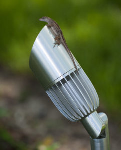 Silvery bullet-shaped outdoor lighting fixtures with a small brown lizard on top