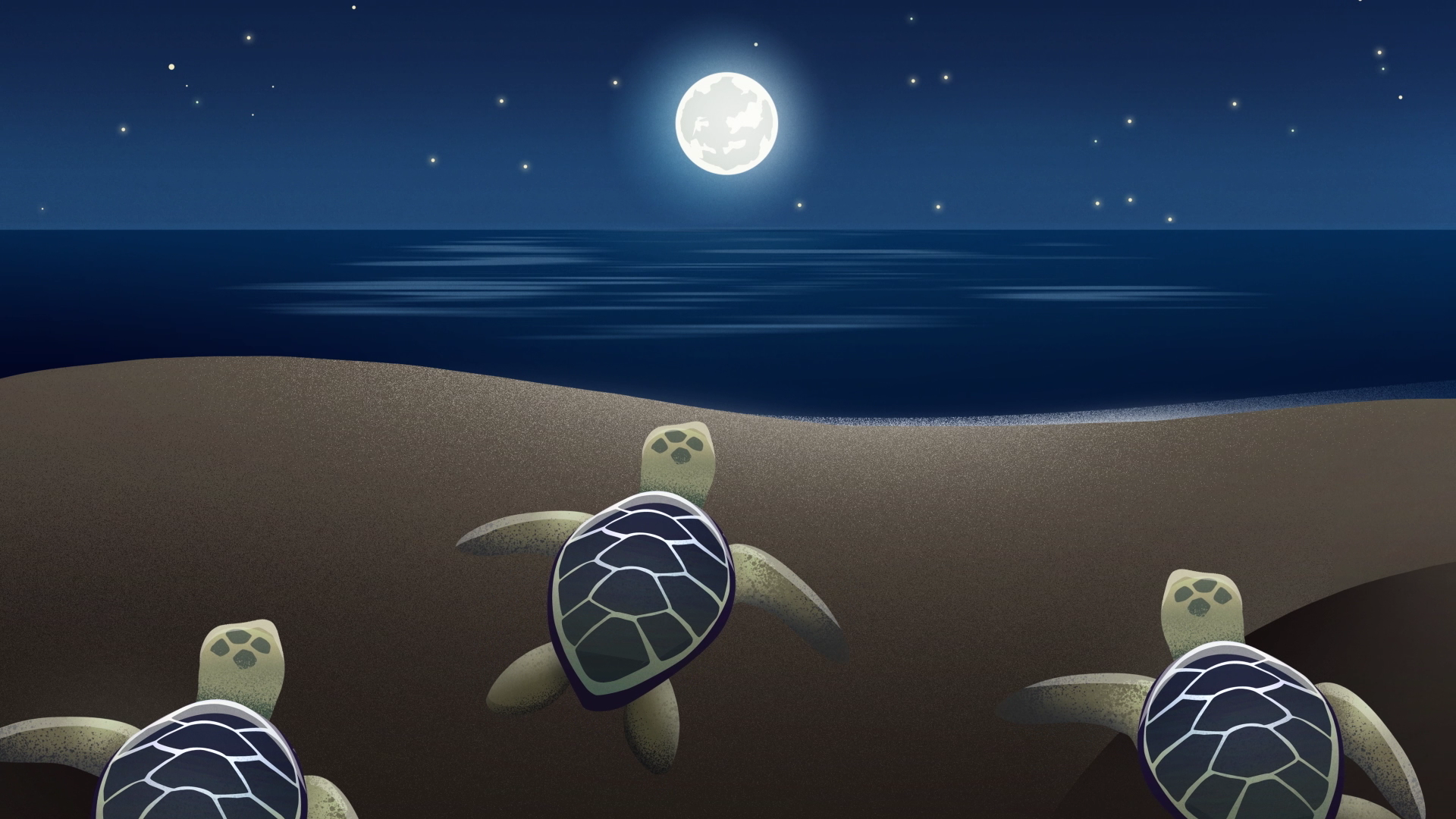cartoon image of baby sea turtles hading towards a moonlit ocean