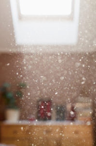 Blurred interior image of window or skylight above wooden dresser or cabinet with objects on top, including a plant, in the foreground, a sunbeam brilliantly highlights particles of dust suspended in the air