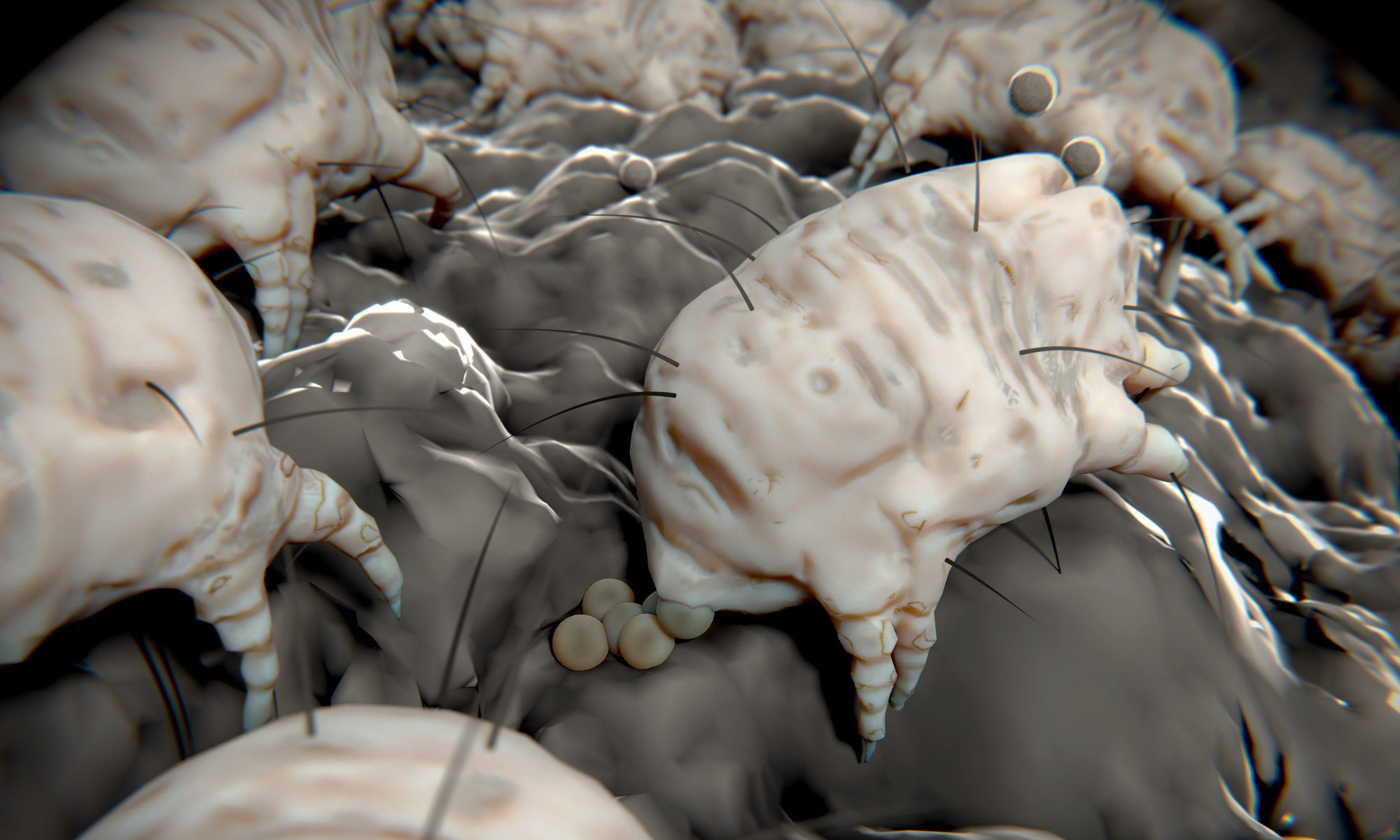 B&W rendering of dust mites and the debris they leave behind
