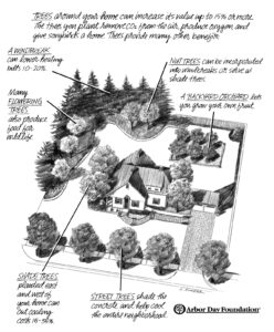 B&W Sketch showing home on plot of land with different types of trees; hand lettering explains the benefits of different trees