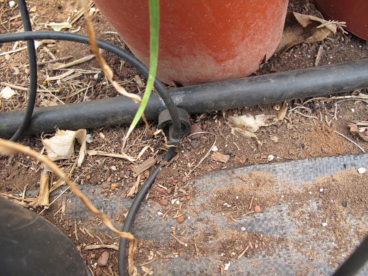 Closeup of drip irrigation system with emitters having "spaghetti tubing" branching off; shown next to plant pot/ 
