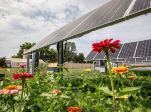 Community Solar installation in field of flowers; fence and farm building in background