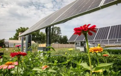 5 Ways Community Solar Empowers Solar for All